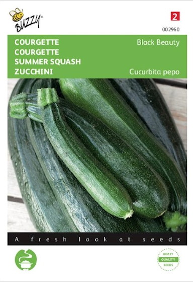 Zucchini Black Beauty (Cucurbita) 35 seeds BU